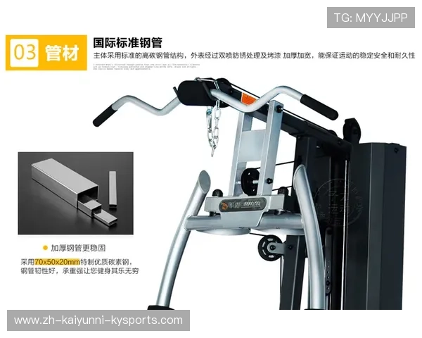 组合型健身器材品牌的比较与使用技巧